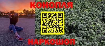 сатива Новокубанск