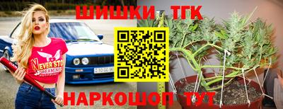 сатива Новокубанск