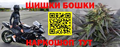 сатива Новокубанск