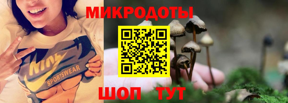 Галлюциногенные грибы прущие грибы Среднеуральск
